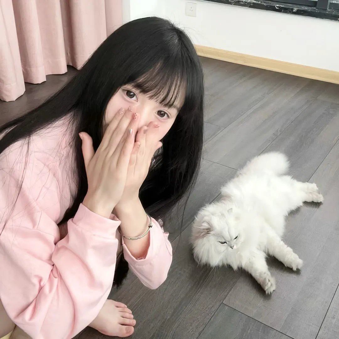 特工总裁校花宠妻