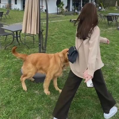 牵挂