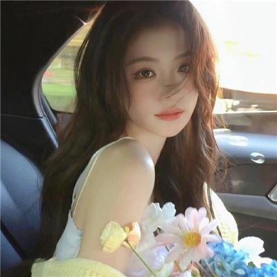 泰迪熊2